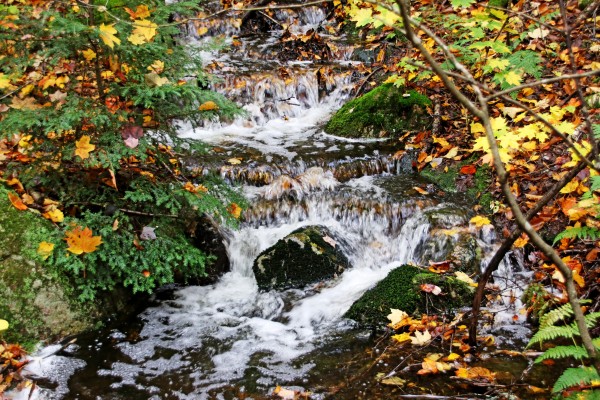Autumn Flow by Deb Oppermann